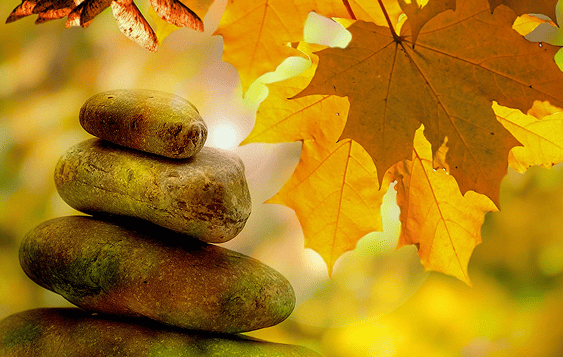 nature zen image libre de droit d'une nature zen et colorée avec des pierres au premier plan